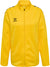 5001-SPORTS YELLOW
